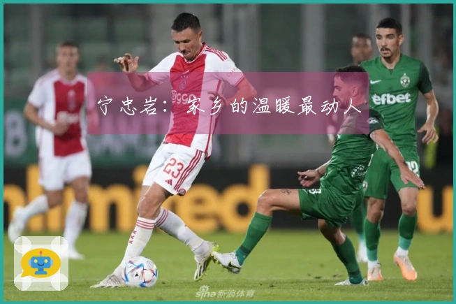 宁忠岩：家乡的温暖最动人