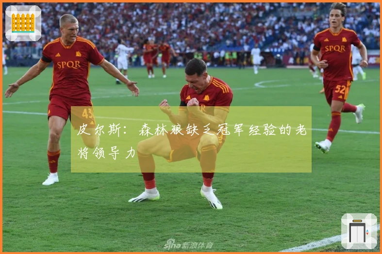 皮尔斯：森林狼缺乏冠军经验的老将领导力